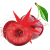 cherry bomb.png